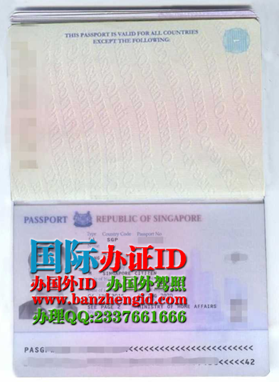 办新加坡护照