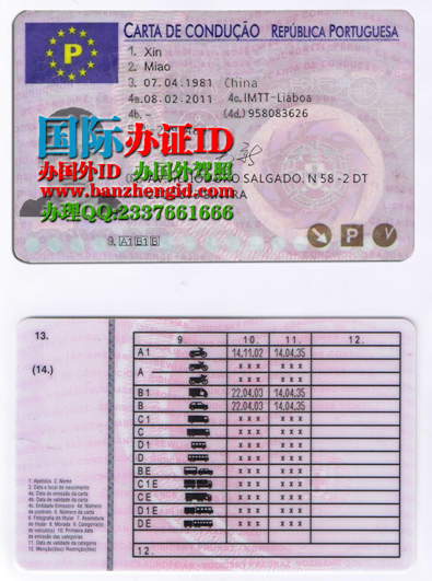 购买葡萄牙驾照，Portuguese driver's license，Carteira de motorista portuguesa