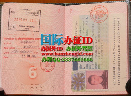 俄罗斯签证,Российская виза,Russian visa
